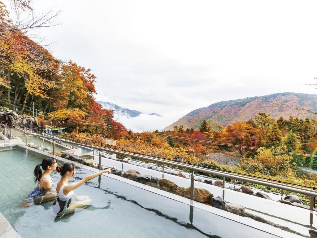 하코네-고와키엔-텐유-1.jpg