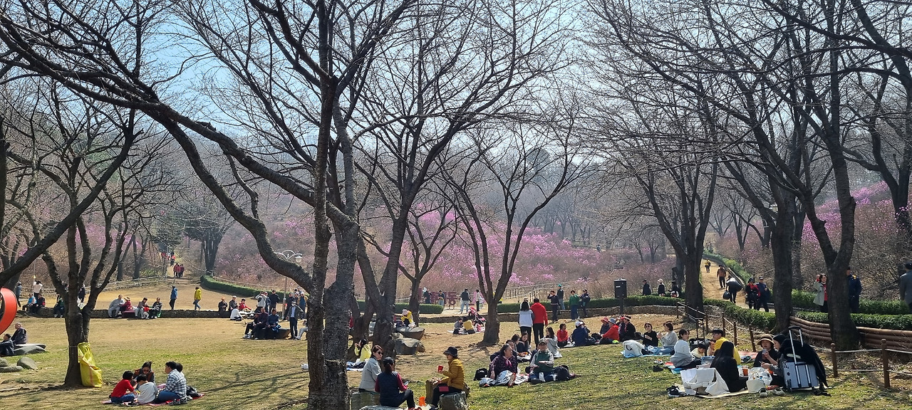 진달래동산.jpg