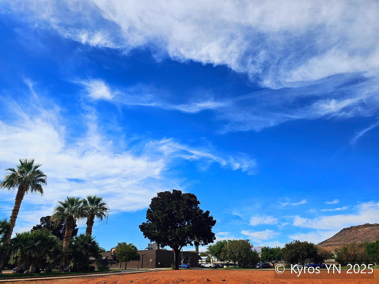 20251025_120516 copy-cp.jpg