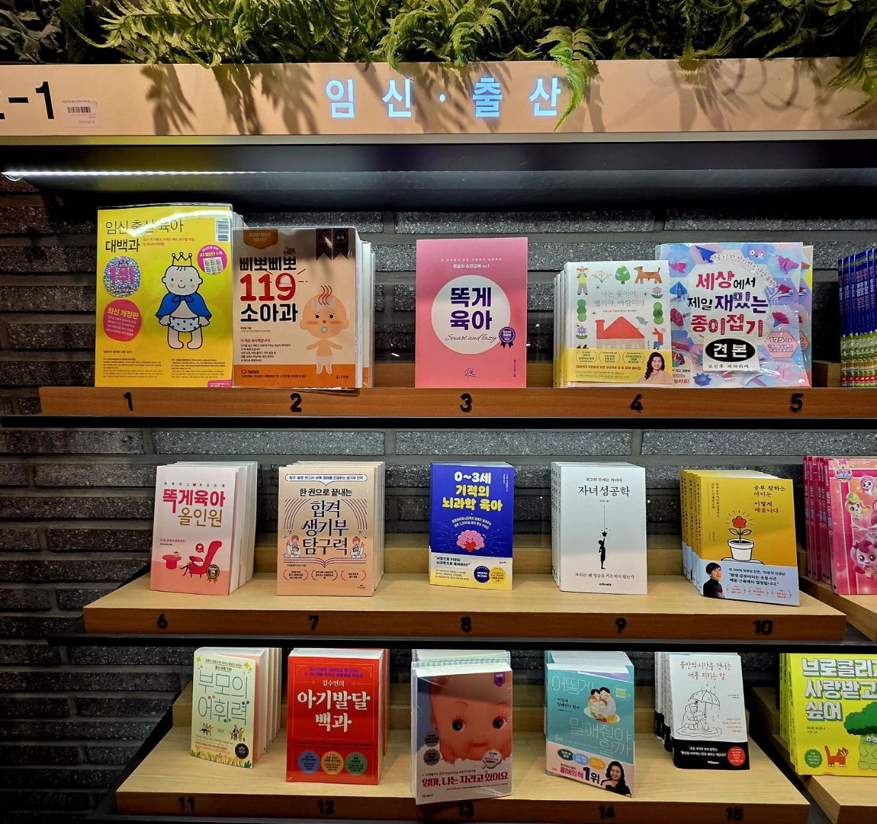 우리동네책세권 교보문고_임신출산.jpg