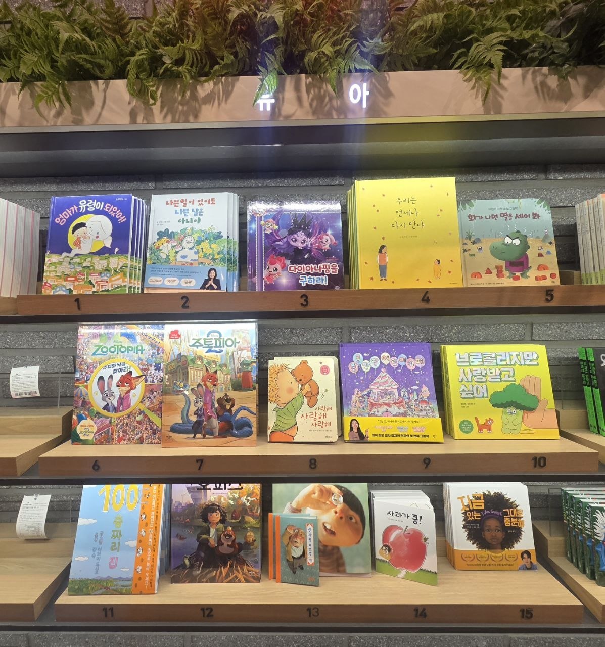 교보문고 칠곡점10.jpg