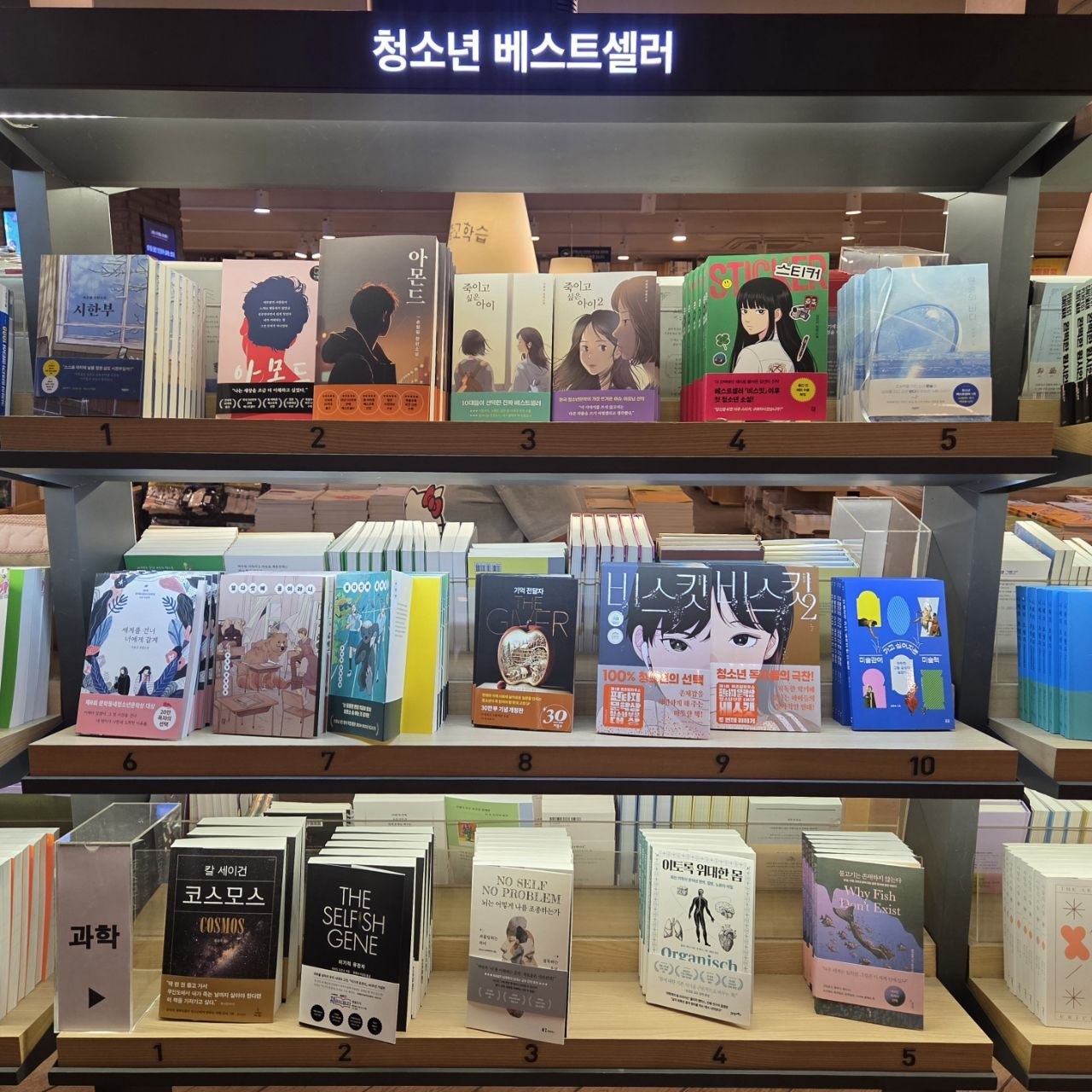 교보문고 칠곡점8.jpg