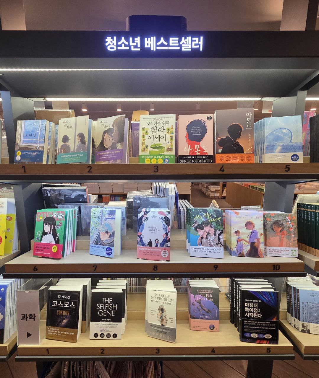 우리동네책세권 교보문고_베스트셀러_청소년.jpg