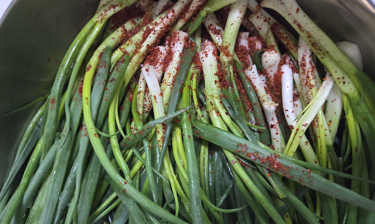 파김치-고춧가루 파뿌리부분에 뿌려두기.jpg