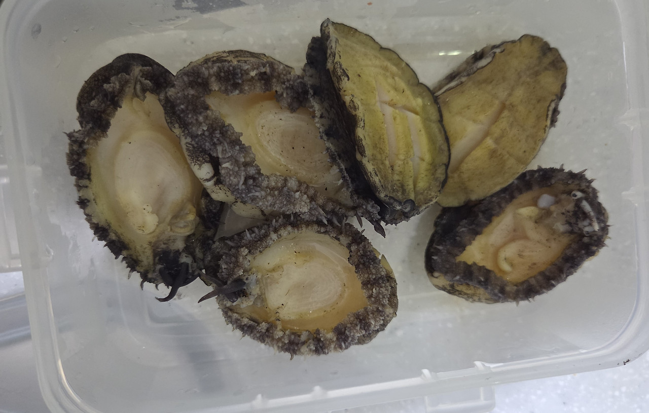 전복버터구이-살짝 데친 것.jpg