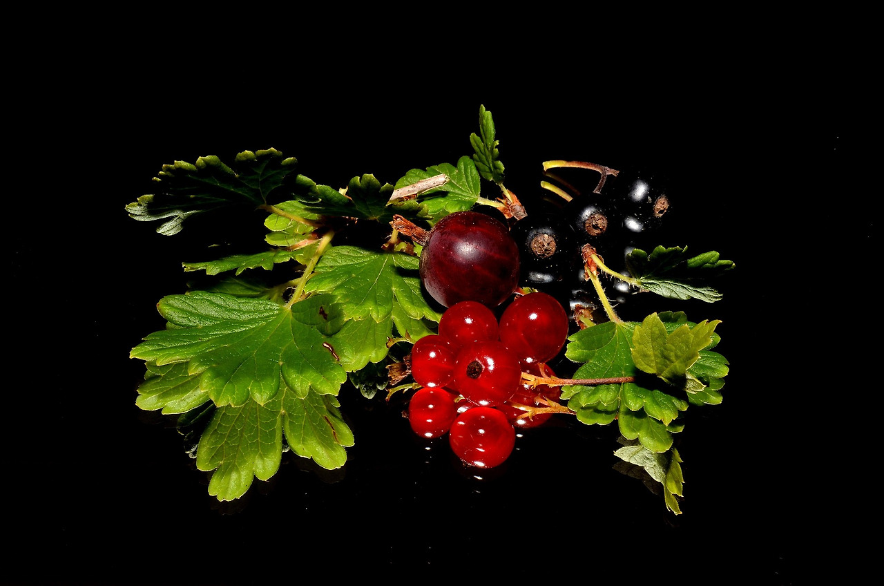 corinaselberg-redcurrants-179119_1920.jpg