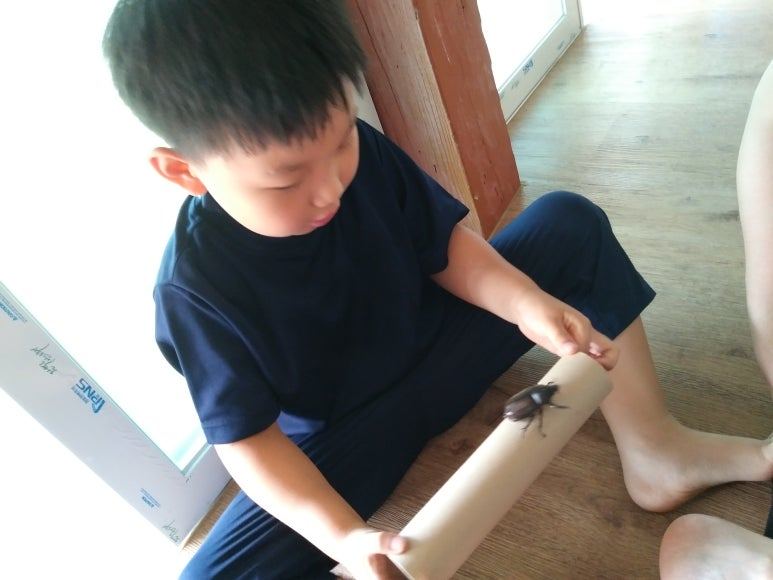 춘표 하늘소.jpg