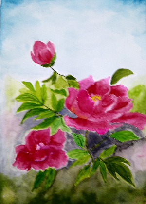 20200224_174153 (2).jpg