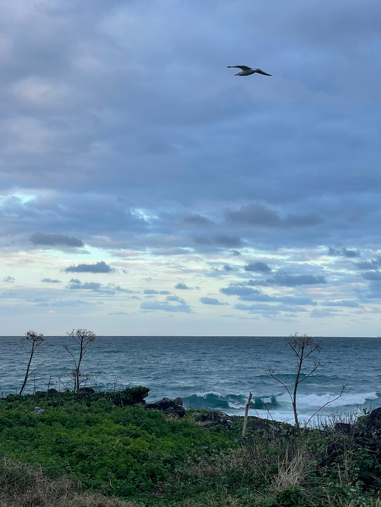 [031] 신천리 바다.jpg