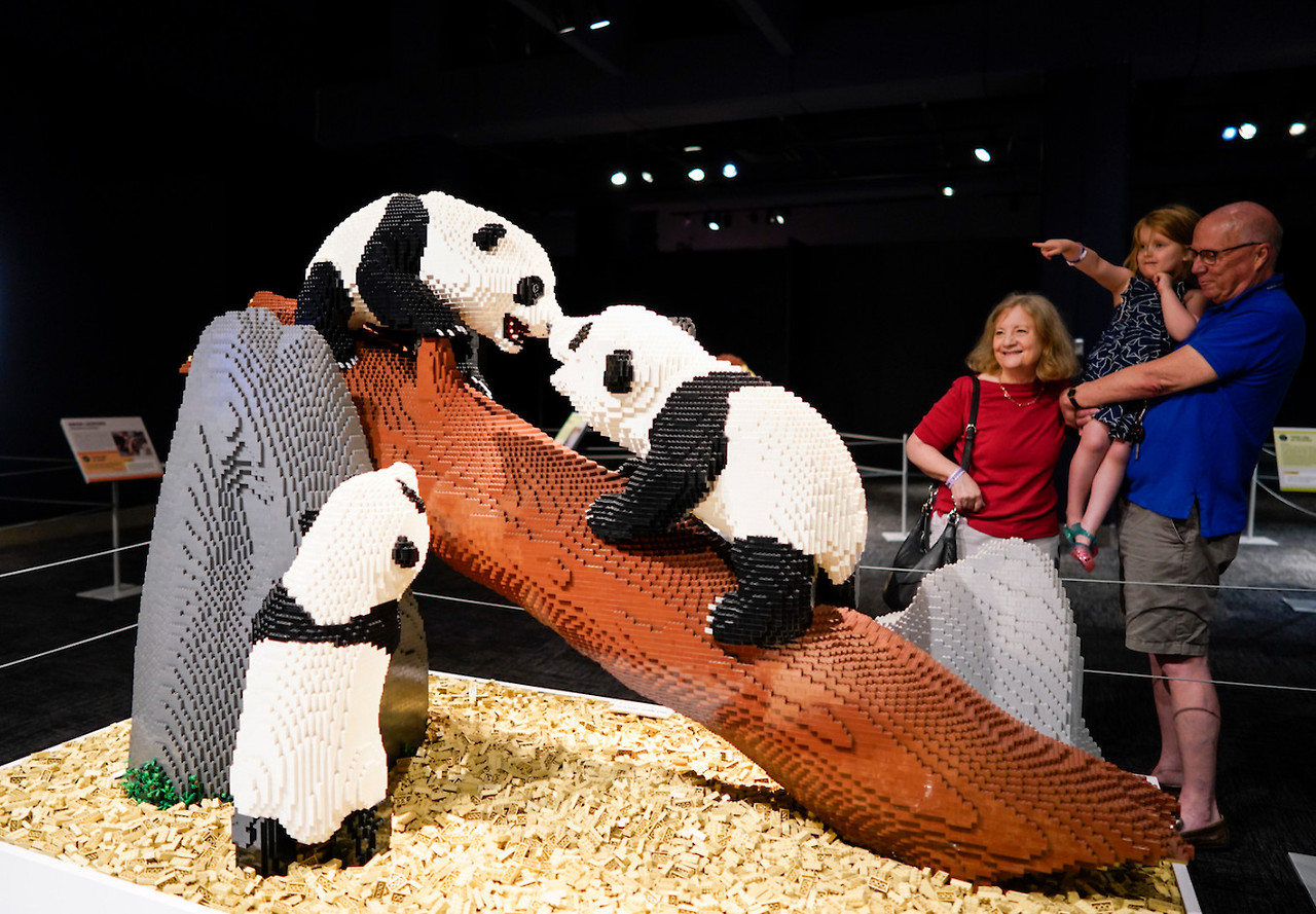 Cap 2026-03-30 22-14-57.jpg