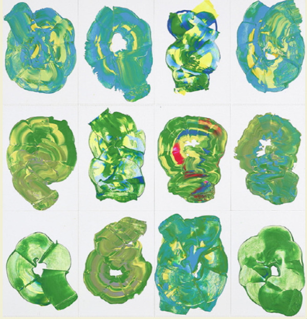 Cap 2026-02-05 13-46-08.jpg