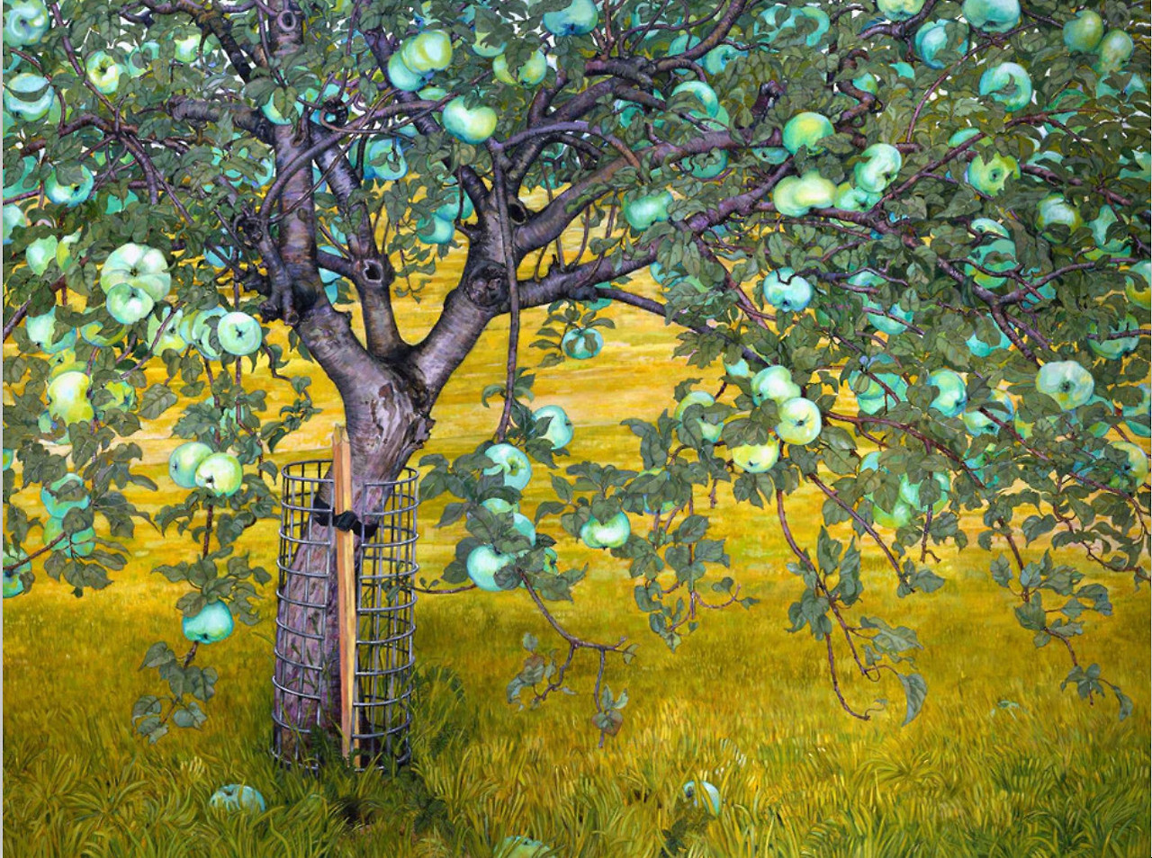 Cap 2026-02-28 16-46-22.jpg