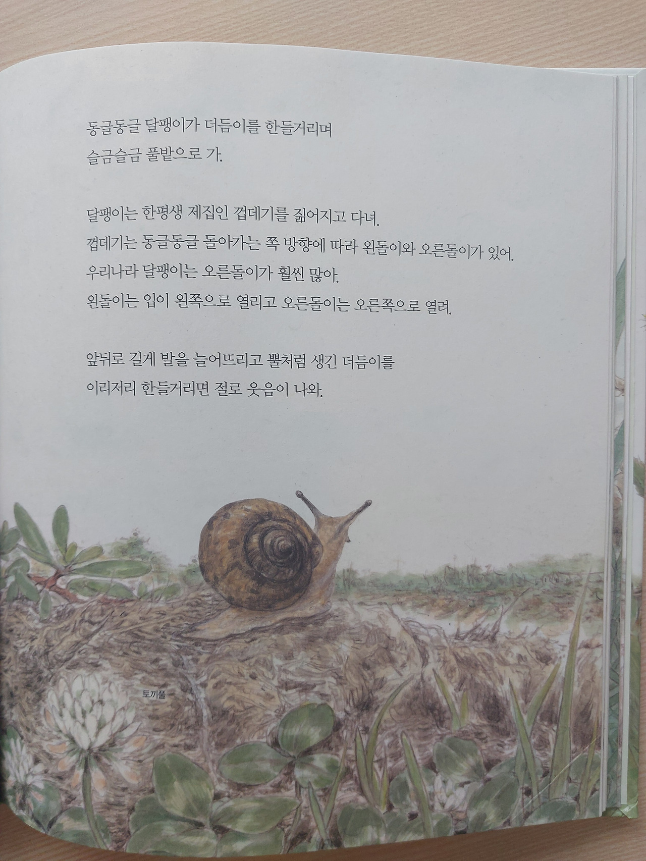 동글동글.jpg