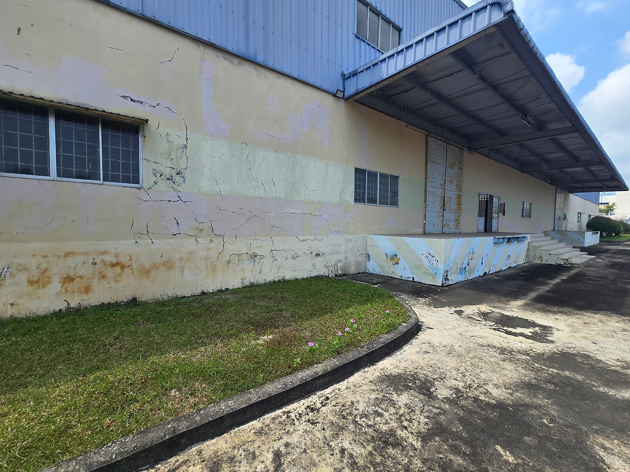 나는 오늘 아침에도 보라꽃 앞을 지나 공장안으로 들어갔다.20260307_121525618.jpg