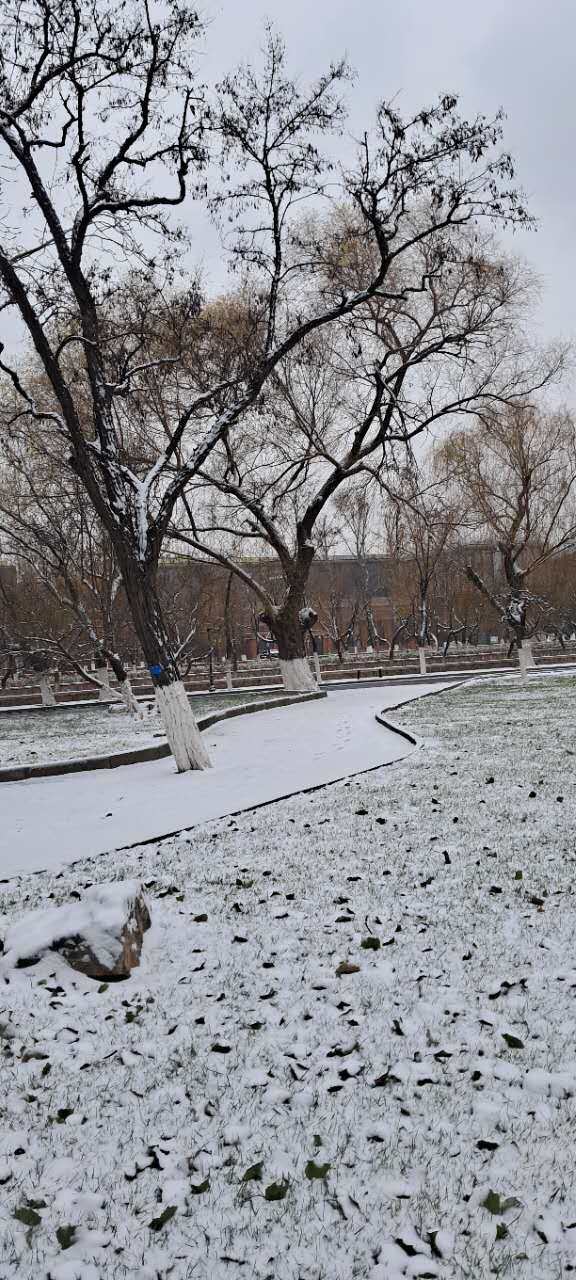 Weixin Image_20260125231000_164_181.jpg