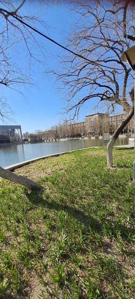 Weixin Image_20260127195040_130_50.jpg