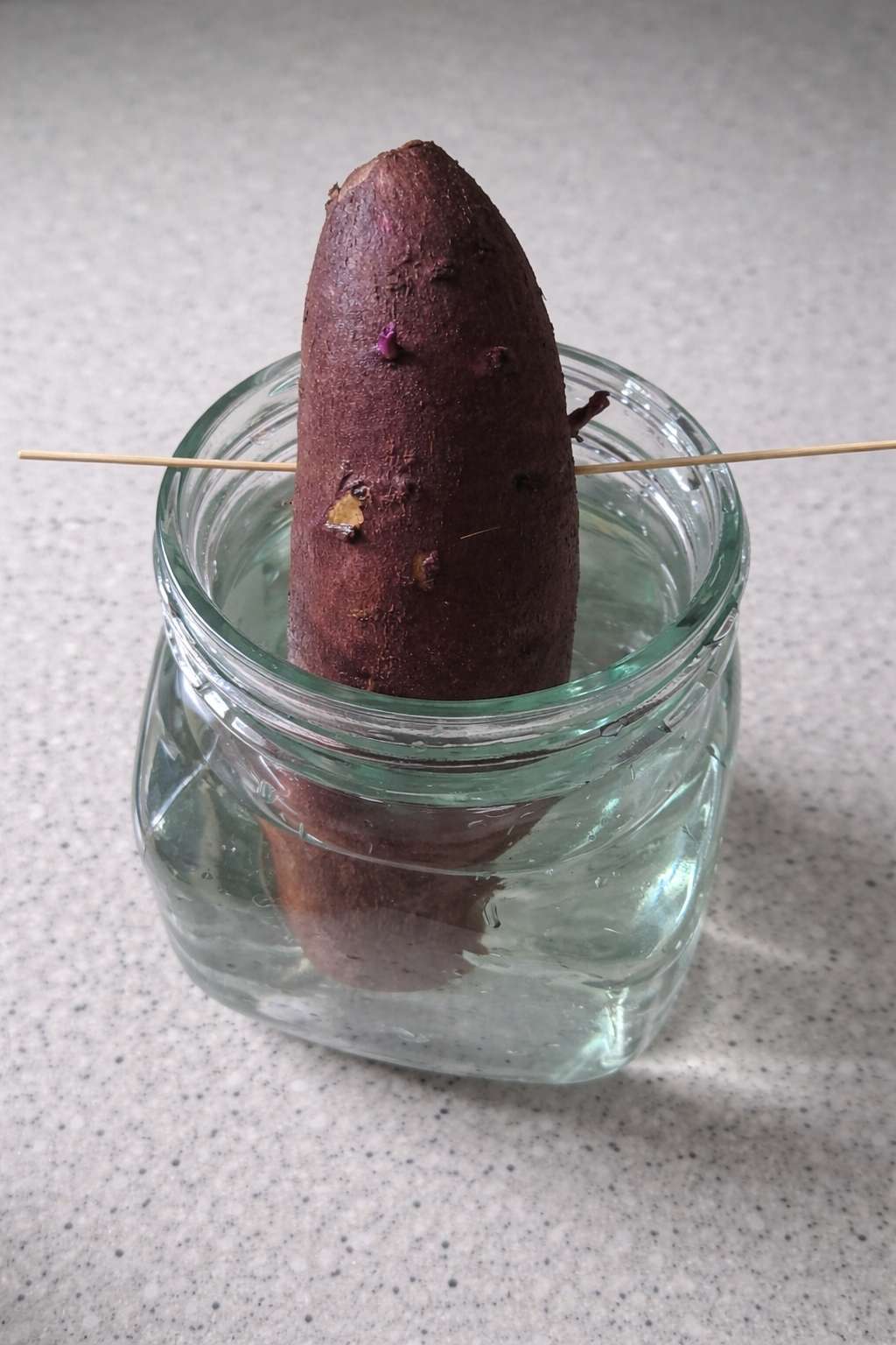 Weixin Image_20260126011826_179_181.jpg