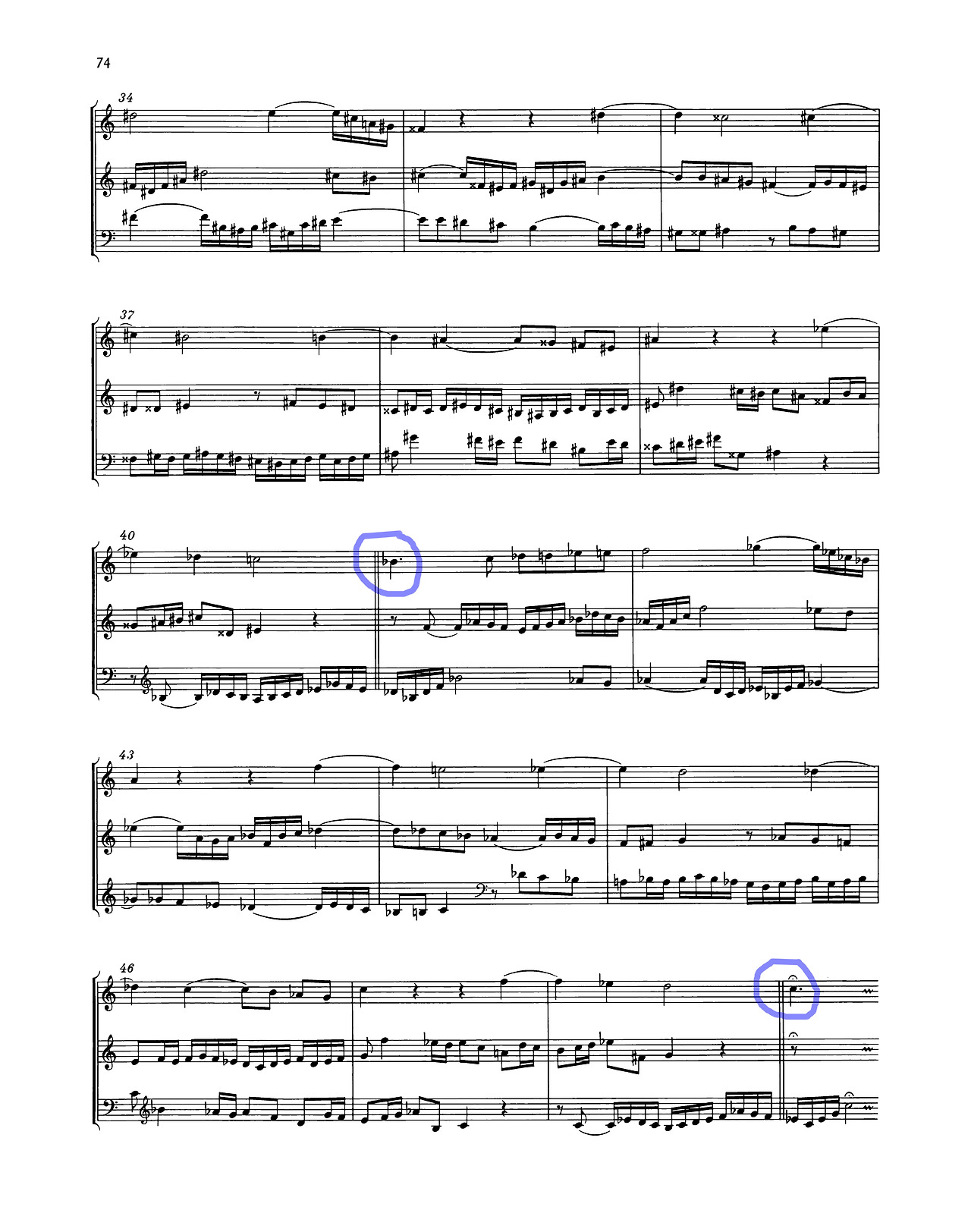 IMSLP459603-PMLP04550-bachNBAVIII,1musikalischesopferBWV1079anhangIIauflösungenderkanonischensätze_Page_06.jpg