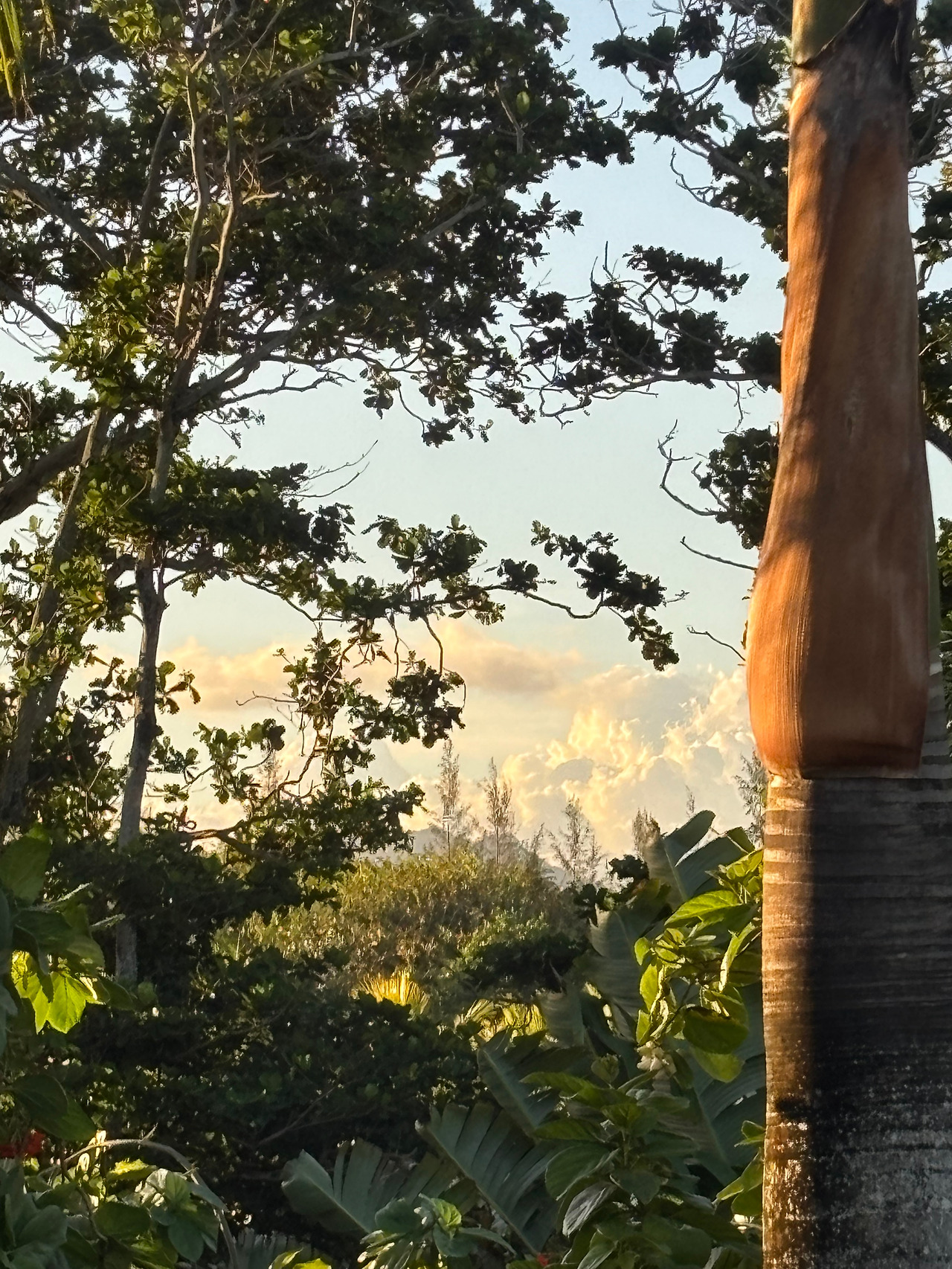 너무 아름답지만 슬픈.jpg