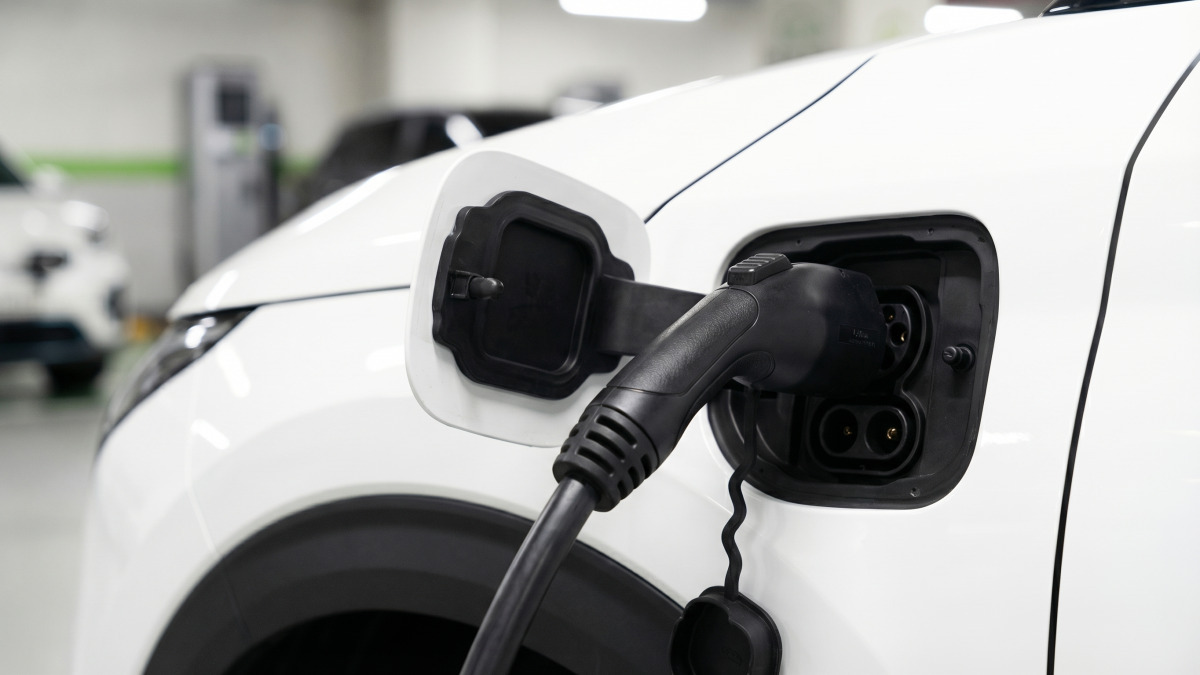 seltos-vs-ev3-comparison-guide (4).jpg