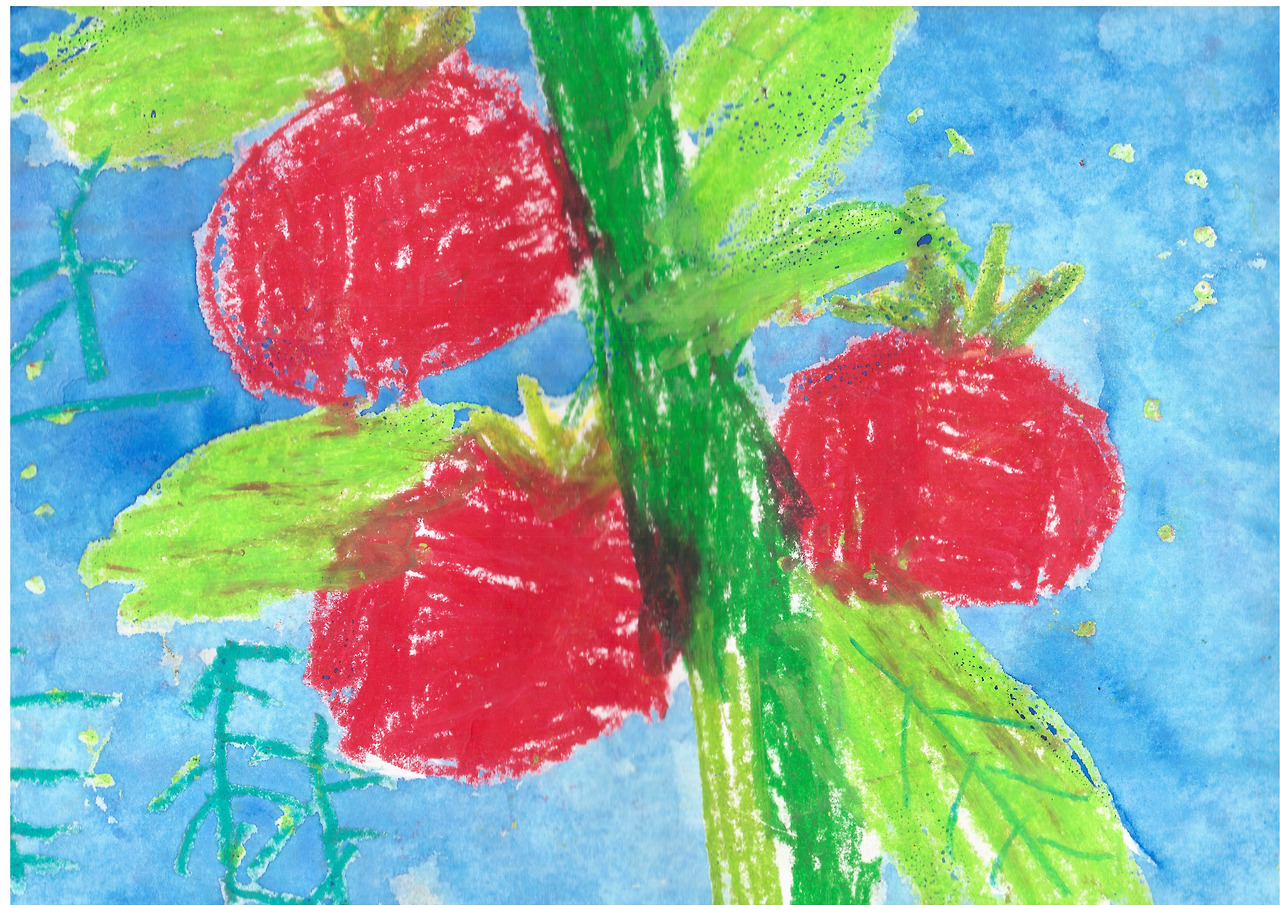 과거로 부터 가져온 토마토.jpg