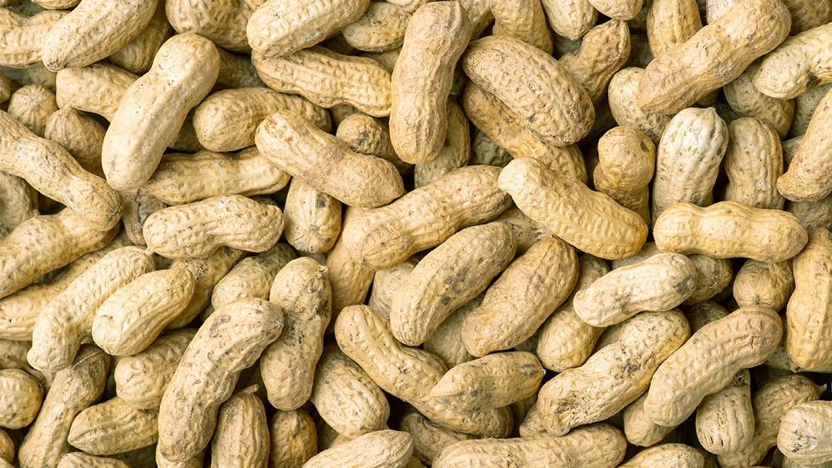 the-effects-of-peanuts-on-brain-health-2.jpg