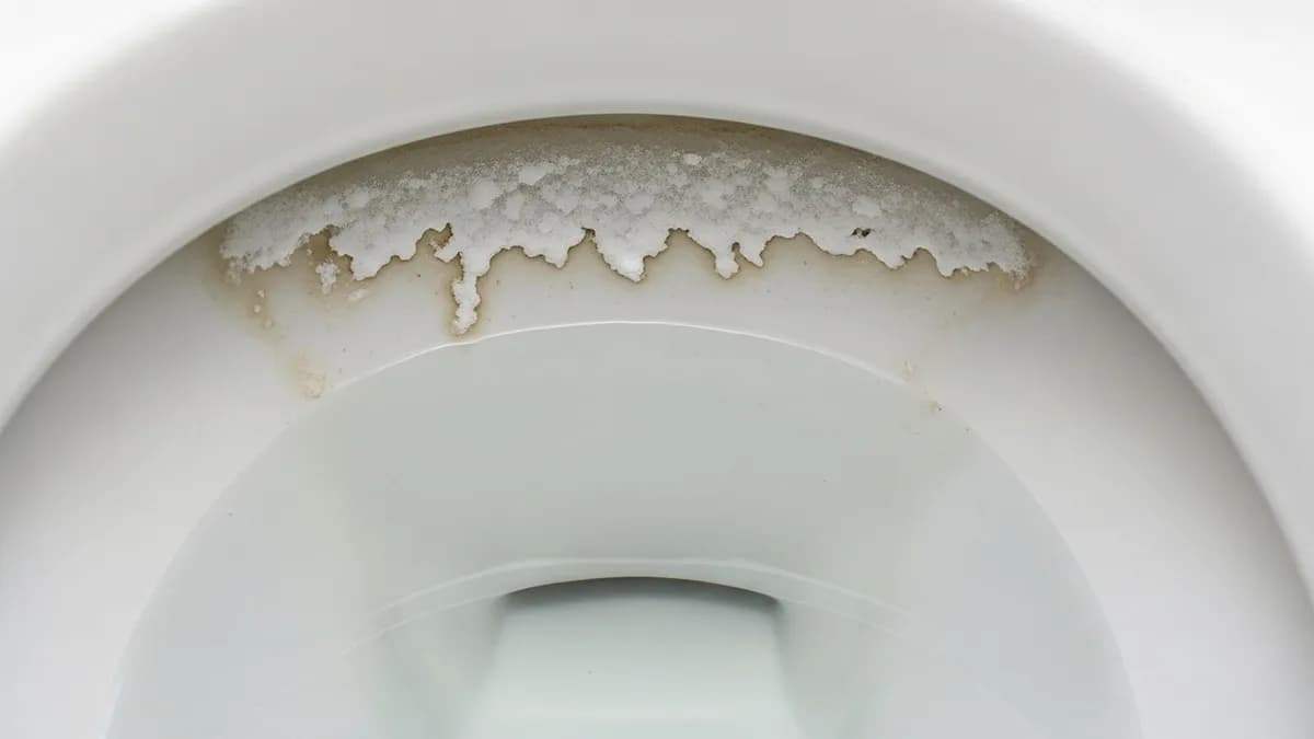 how-to-clean-the-toilet-using-salt-3.jpg
