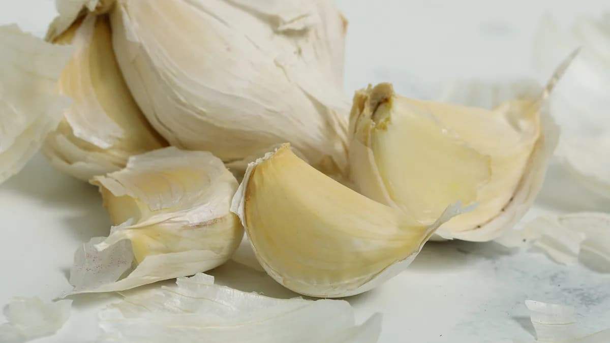 the-consumption-of-discolored-garlic-4.jpg