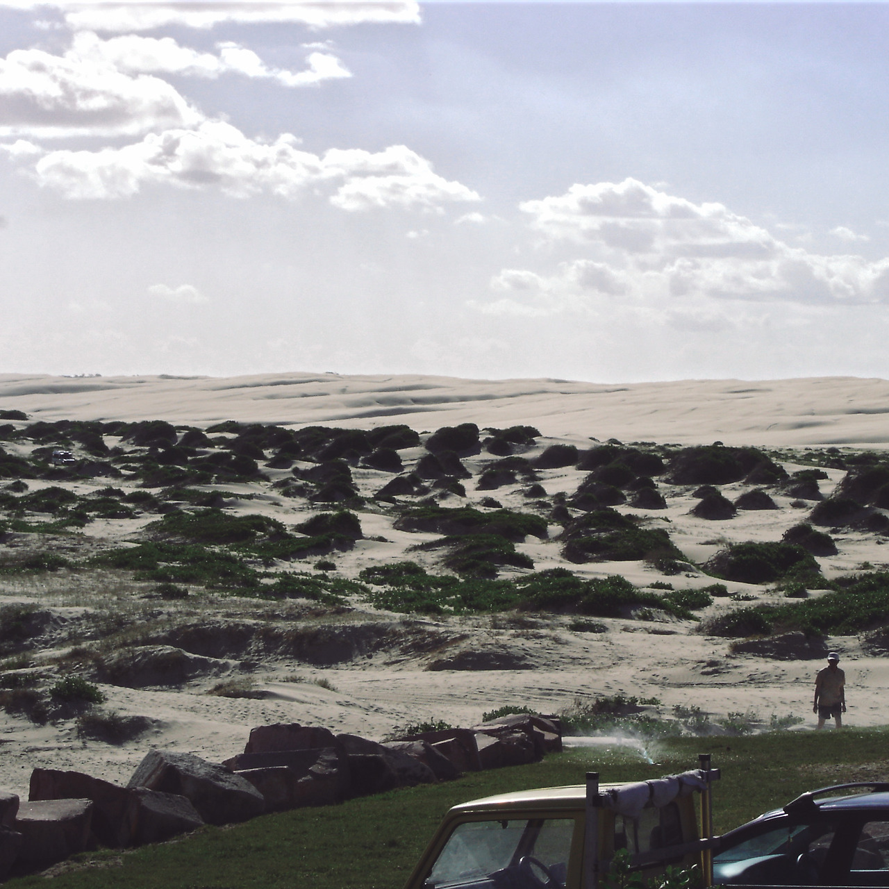 dolphin & desert 010 - minuir.jpg