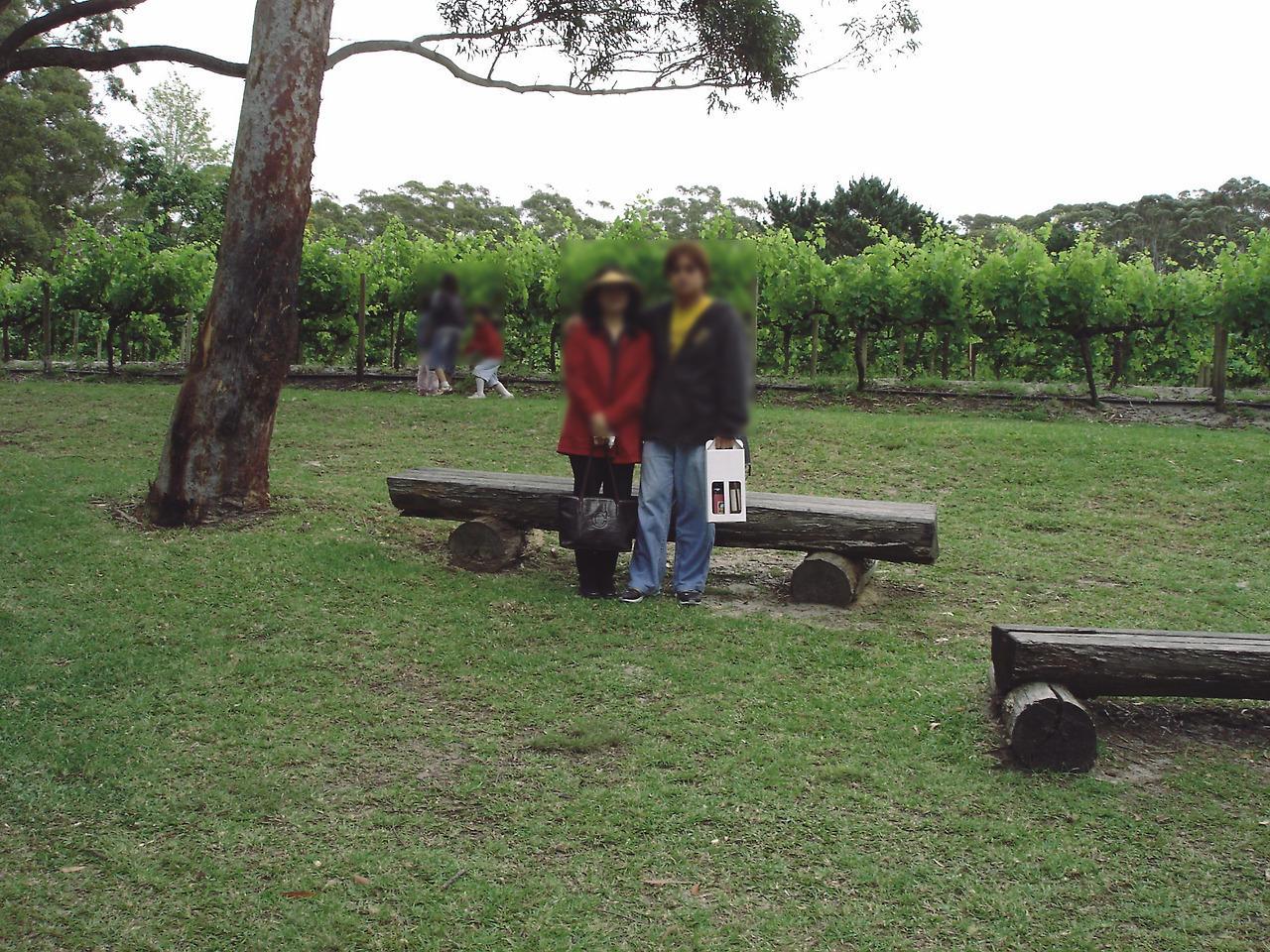 port stephens winery 011 - minuir.jpg