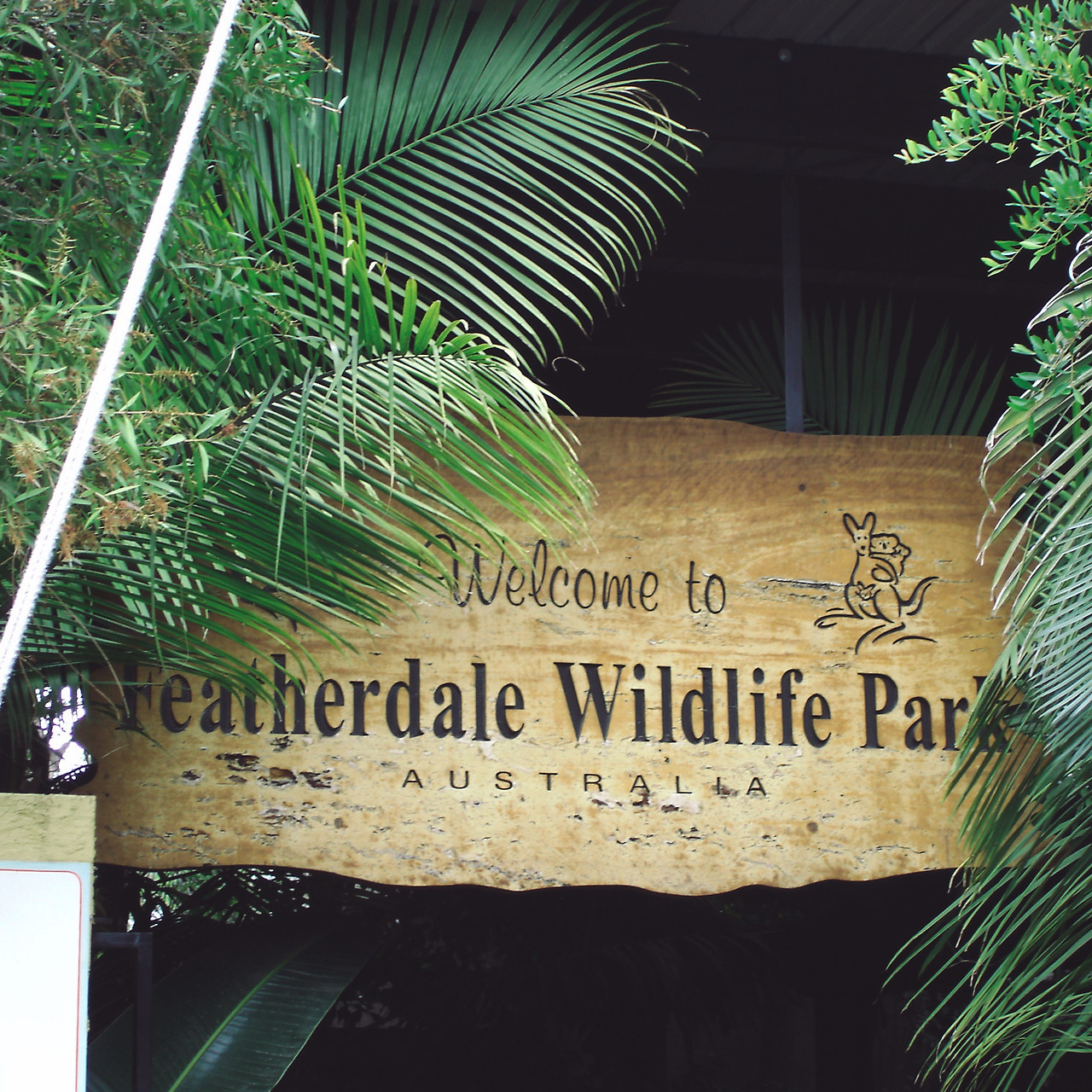 featherdale wildlife park 001 - minuir.jpg