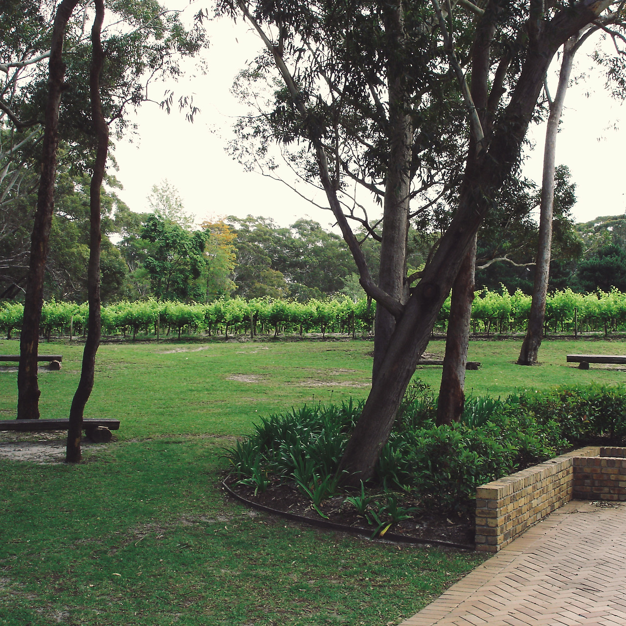 port stephens winery 007 - minuir.jpg