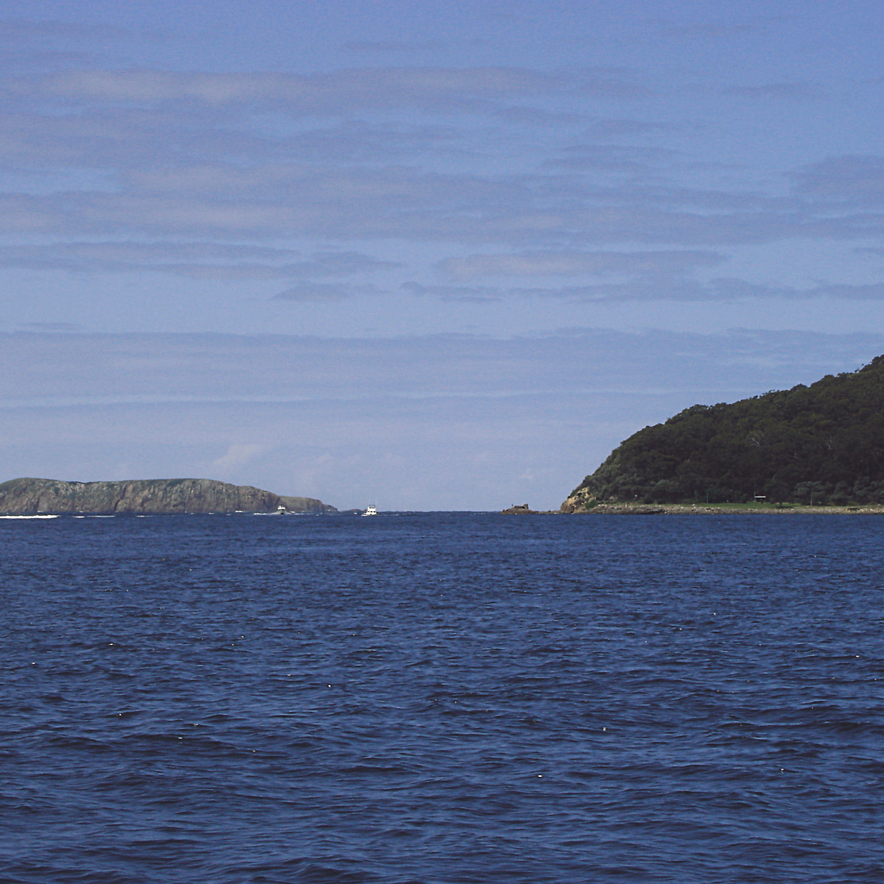 dolphin & desert 004 - minuir.jpg