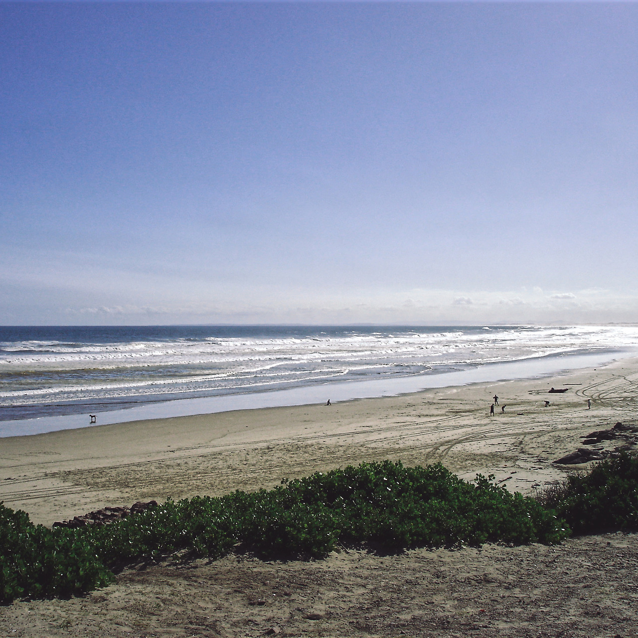 dolphin & desert 009 - minuir.jpg