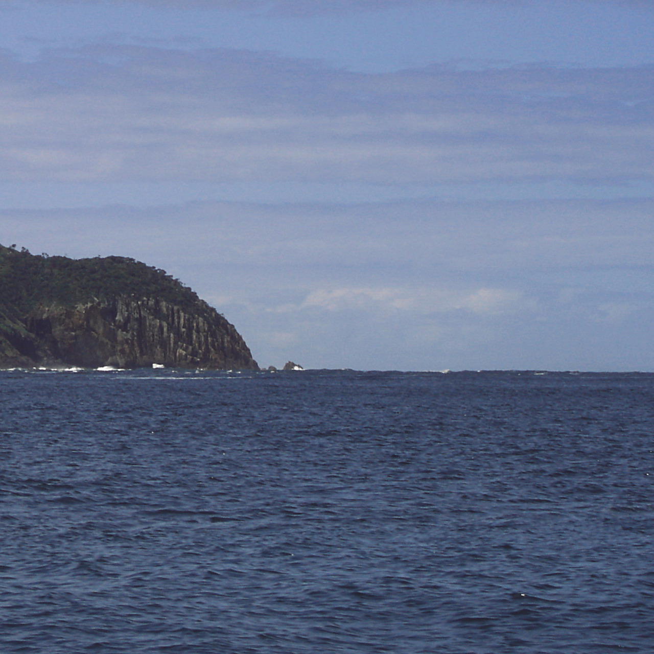 dolphin & desert 006 - minuir.jpg