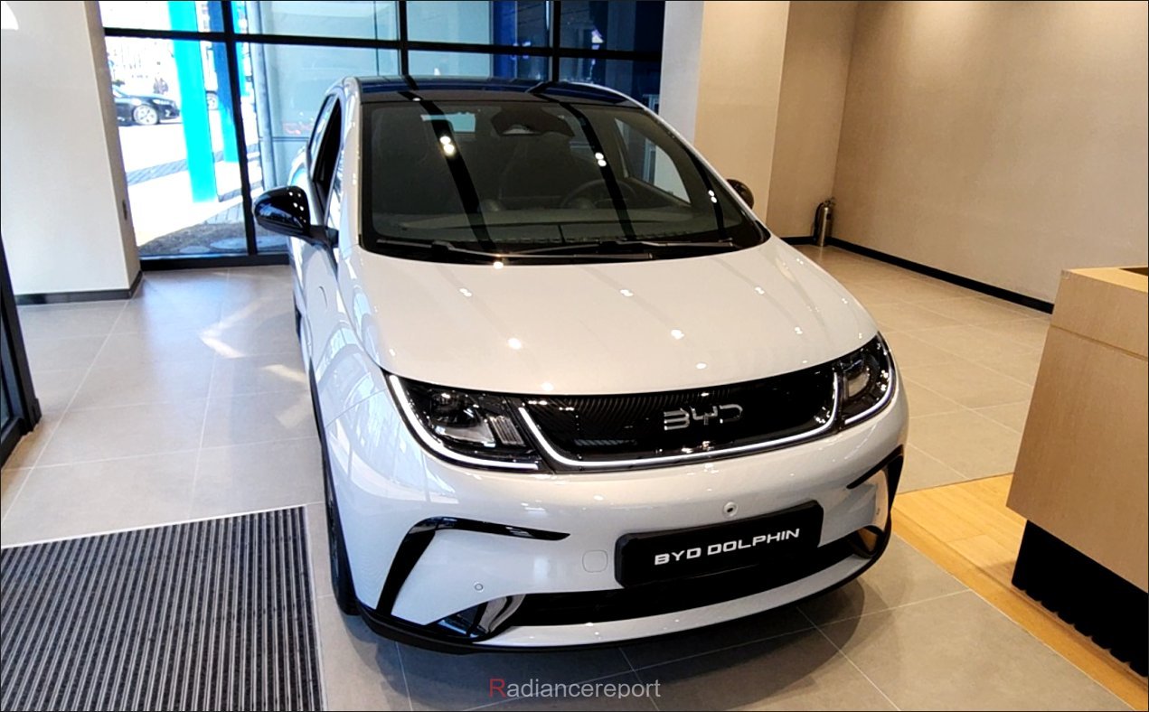 BYD-1만-대-중-79는-법인-3.jpg