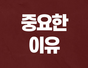 음주운전교통사고 (3).jpg