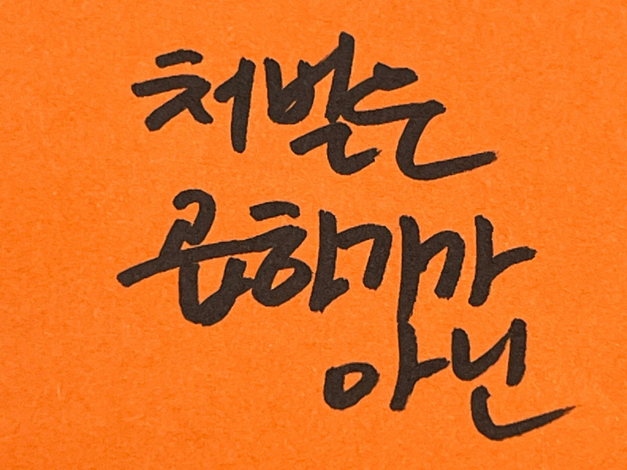 음주뺑소니변호사 (2).jpg