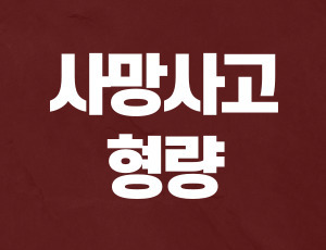 음주운전_사망사고 (1).jpg