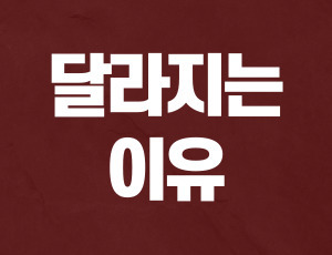 음주운전4진아웃 (3).jpg