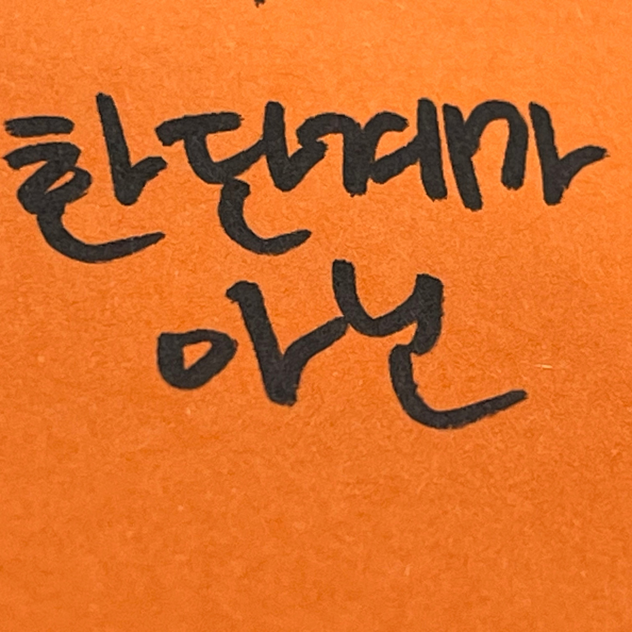 무면허음주운전 (2).jpg