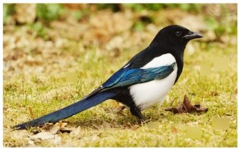 다운로드 (3).jpg