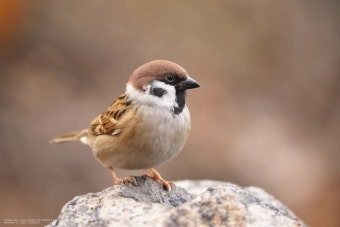 다운로드 (2).jpg