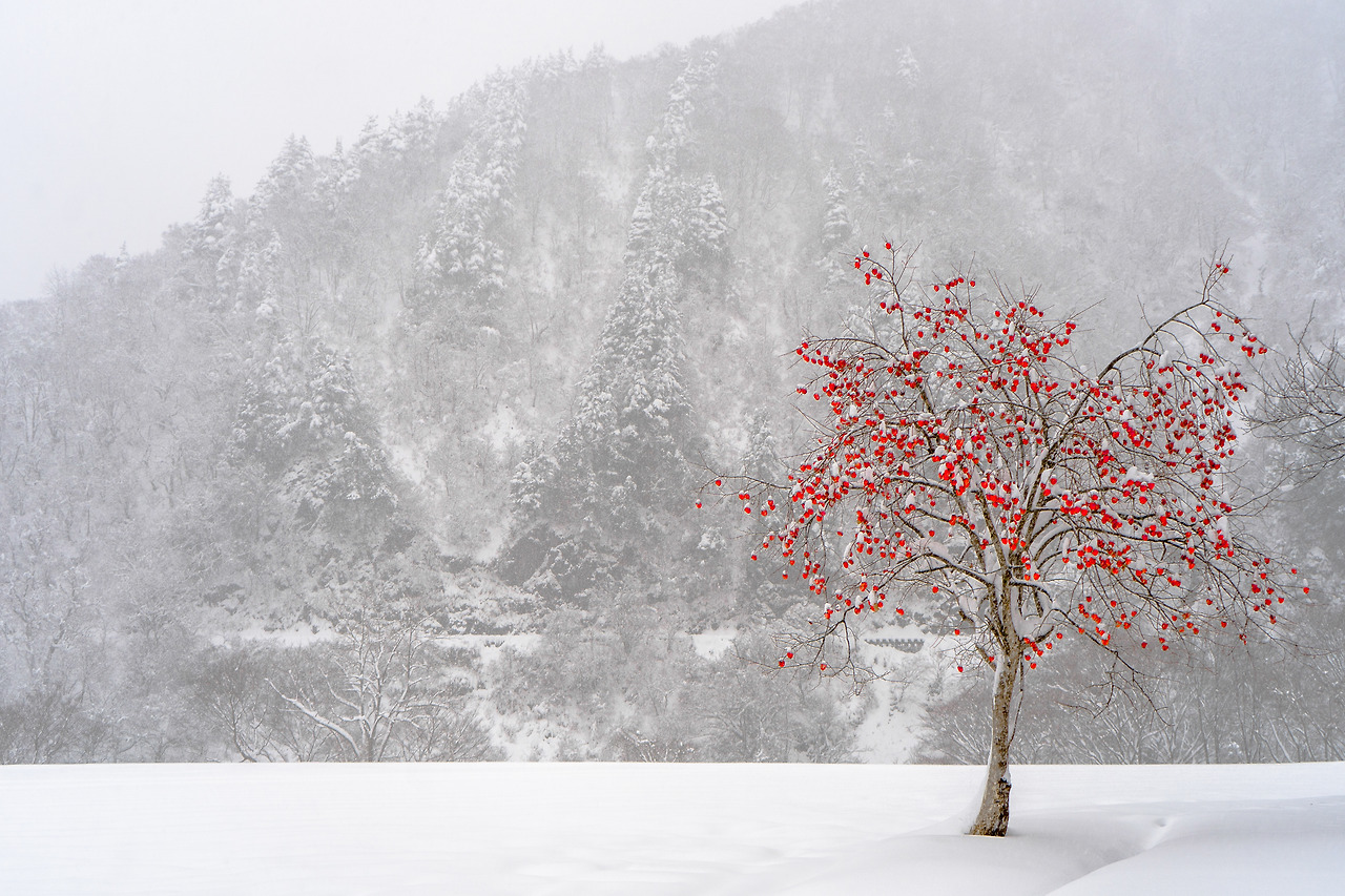 DSC04600 21.32.25.jpg