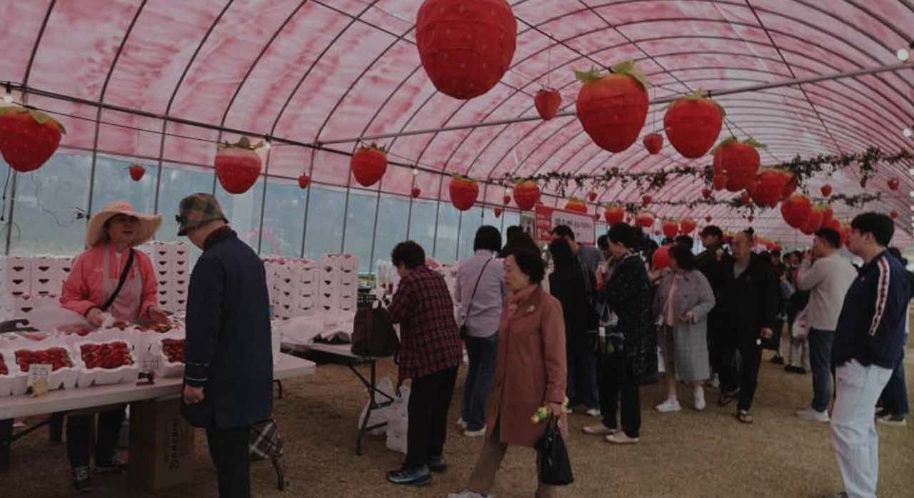 2026국내딸기축제_0.jpg
