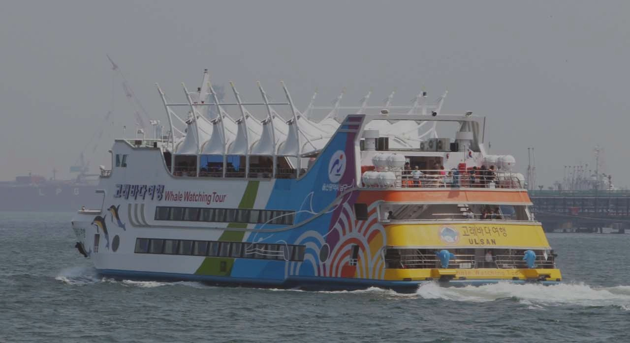 돌고래를쫓을것인가기_3.jpg