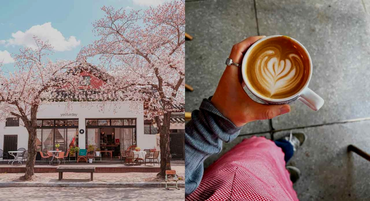 벚꽃보며커피한잔경주_3.jpg