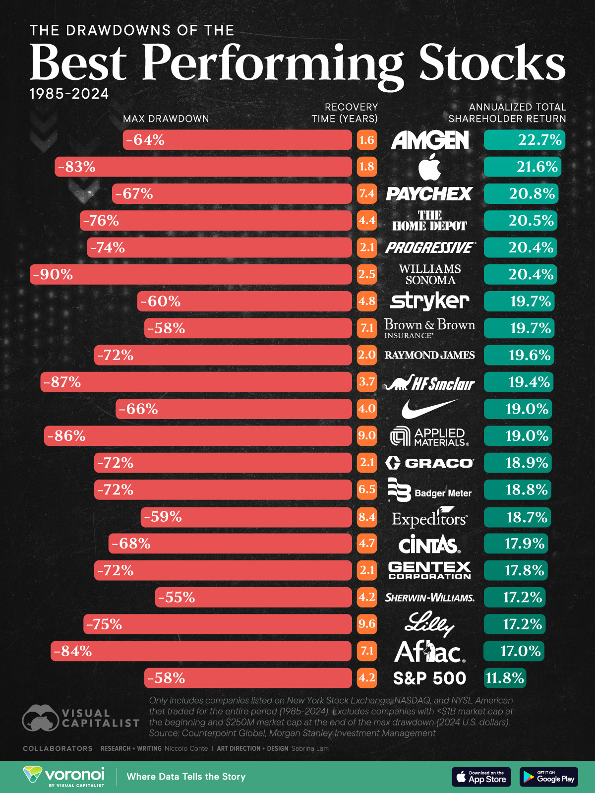 The-Drawdowns-of-the-Best-Performing-Stocks-1985-2024_website_May29-1.jpg