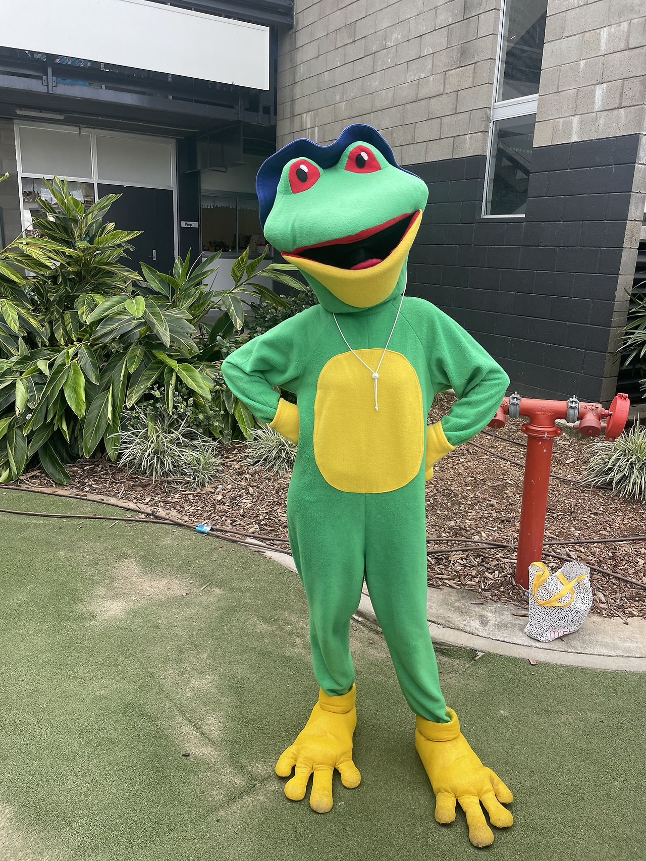 indooroopilly-frog.jpg