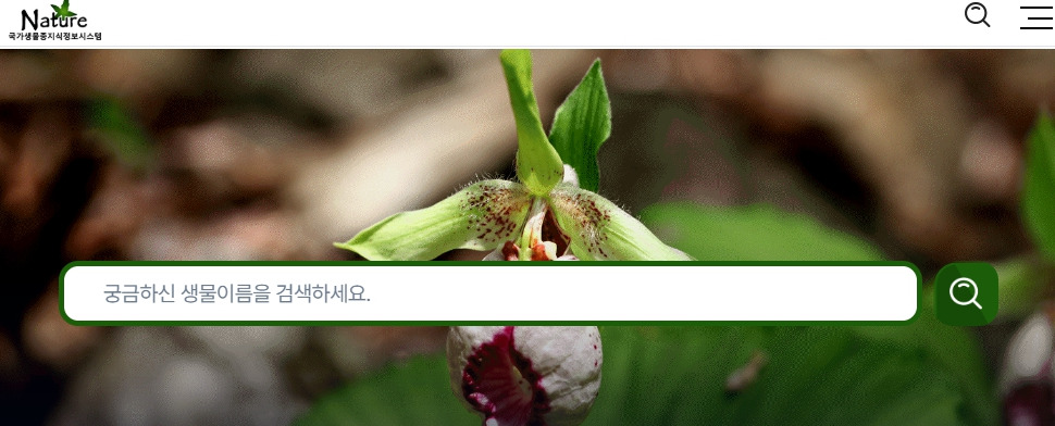 식물-이름-찾기-사이트-이미지.jpg